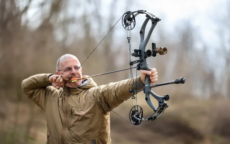 The Top Compound Bows: A Comprehensive Guide